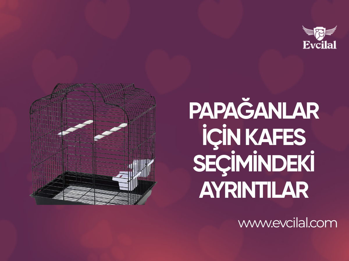 Papağanlar İçin Kafes Seçimindeki Ayrıntılar