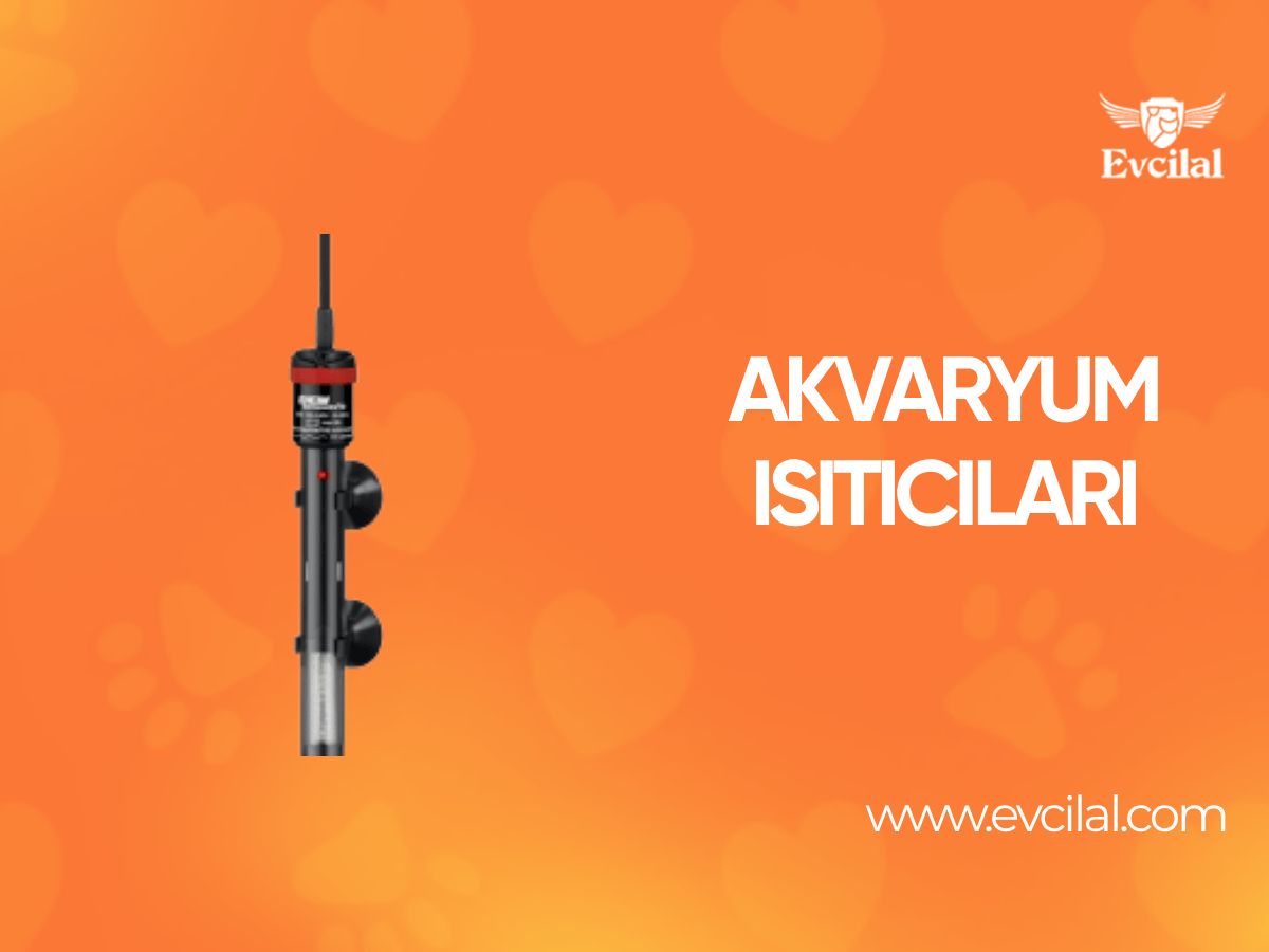Akvaryum Isıtıcıları: Türleri, Watt Değerleri ve En İyisini Seçme Rehberi