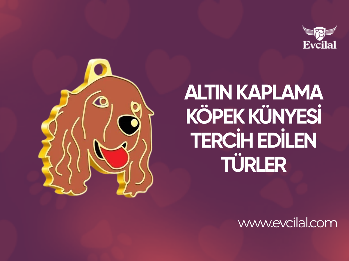 Altın Kaplama Köpek Künyesi Tercih Edenlerin Genellikle Beslediği Türler