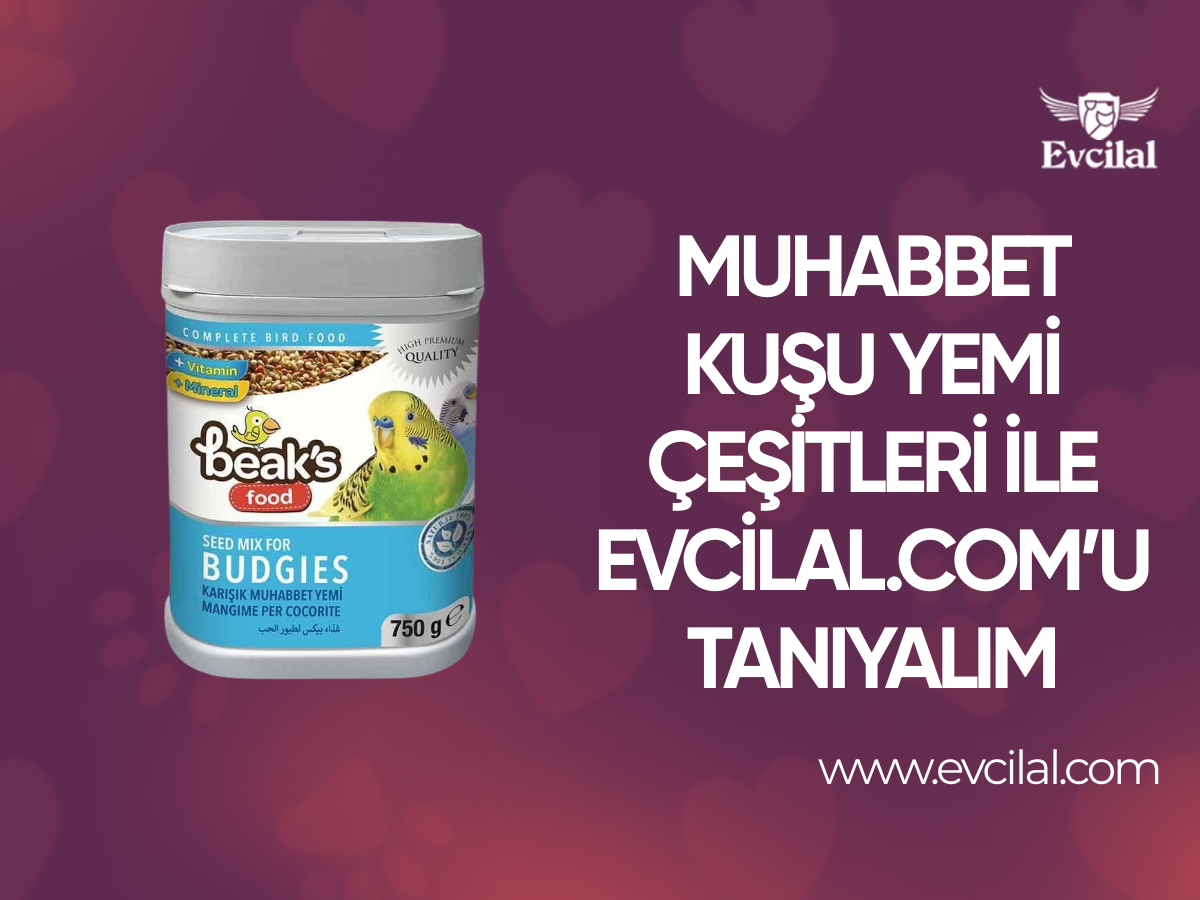Muhabbet Kuşu Yemi Çeşitleri İle Evcilal.Com’u Tanıyalım