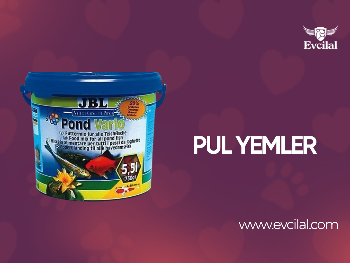 Pul Yemler