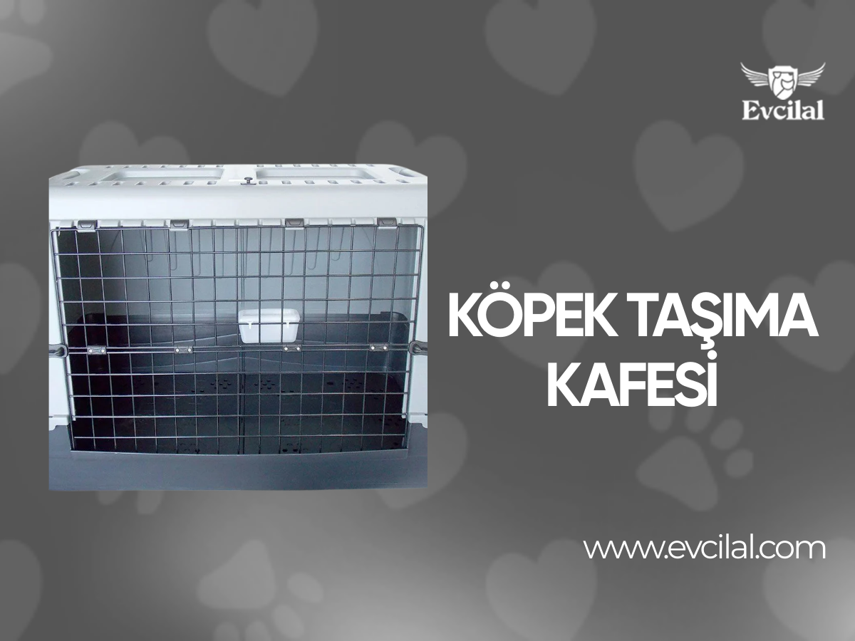 Köpek Taşıma Kafesi