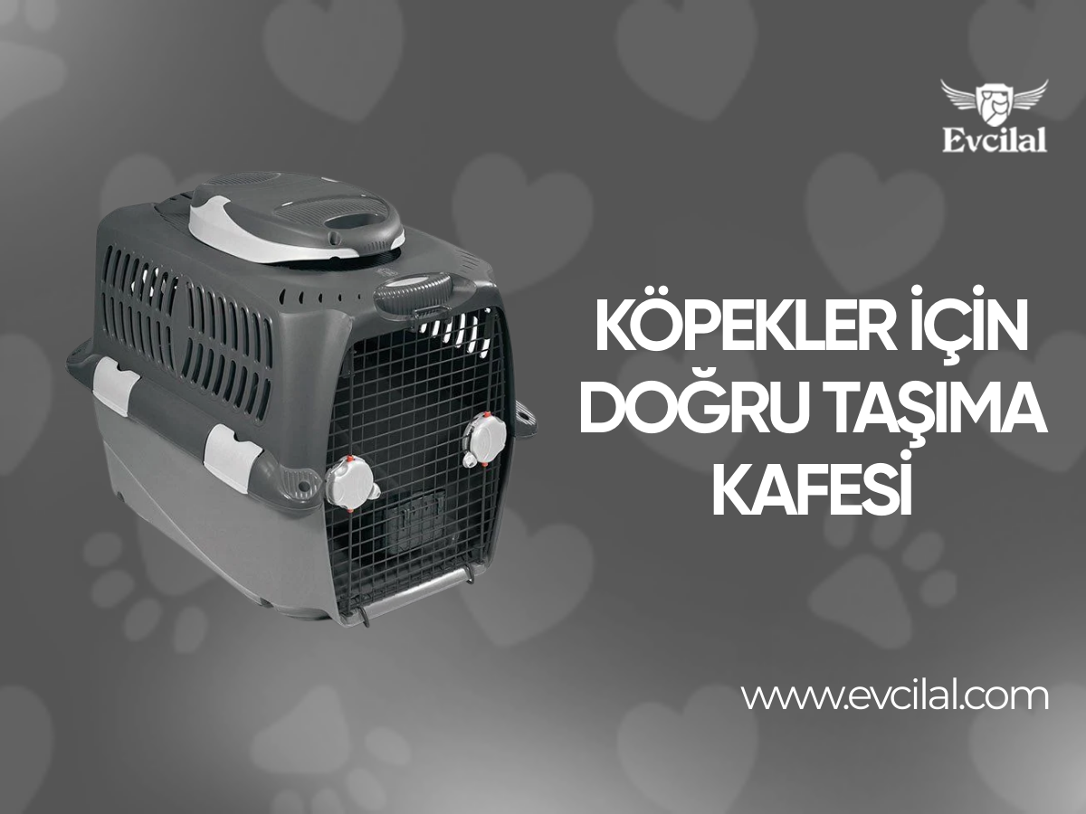 Köpeklerin Konforu İçin Nasıl Bir Taşıma Kafesi Tercih Edilmelidir?