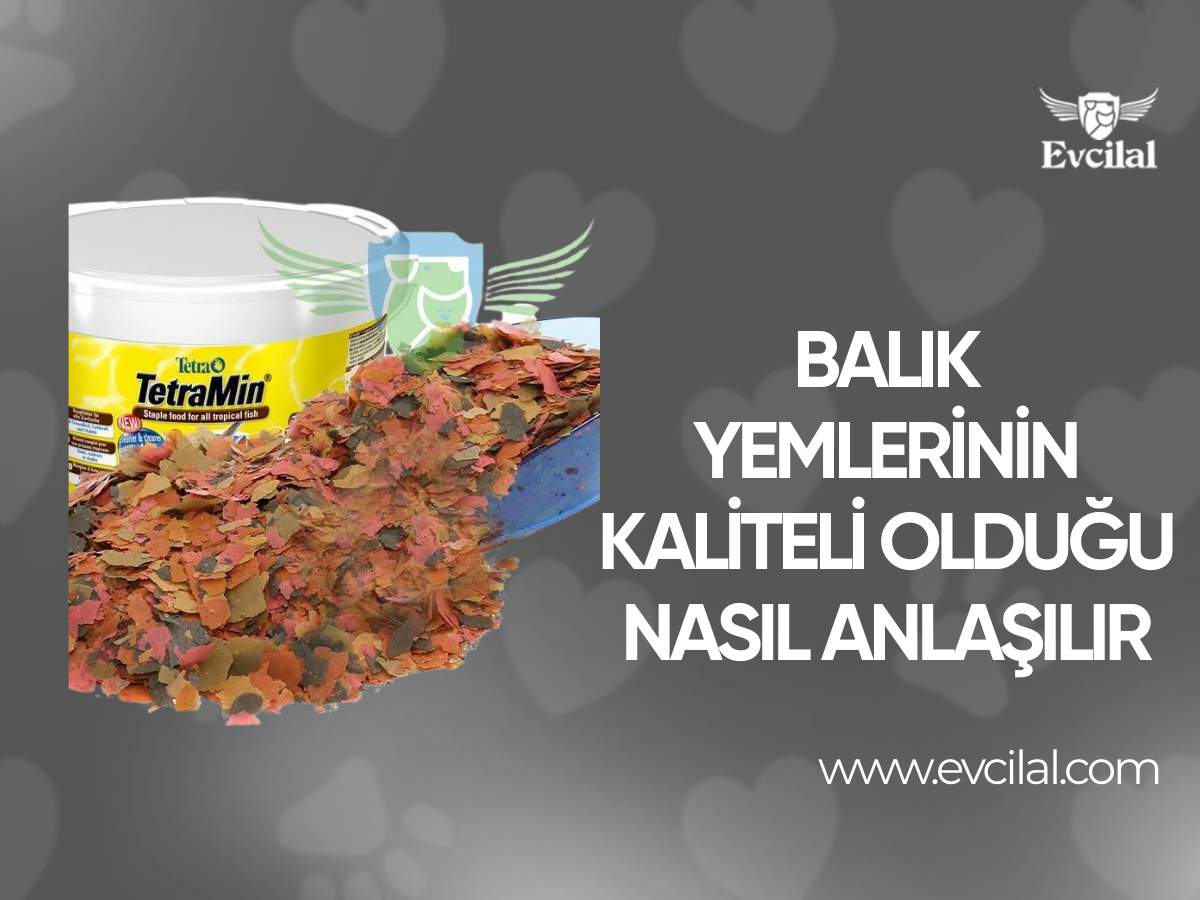 Balık yemlerinin kaliteli olduğu nasıl anlaşılır