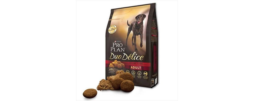 Büyük Köpekler İçin Seçilebilecek Köpek Mamaları