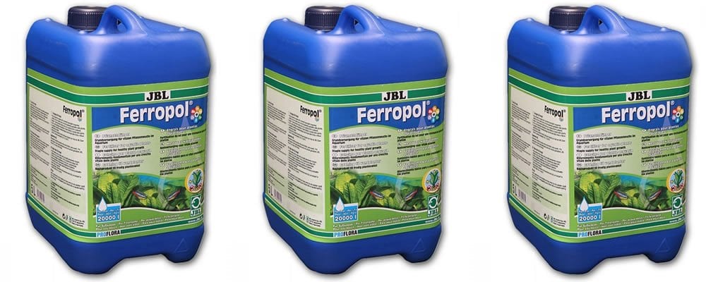 Akvaryumdaki Bitki Gübresi Neden Önemli?