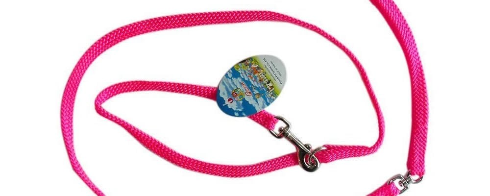 Köpek Tasması İle Birlikte Künye Kullanmalı Mıyız?