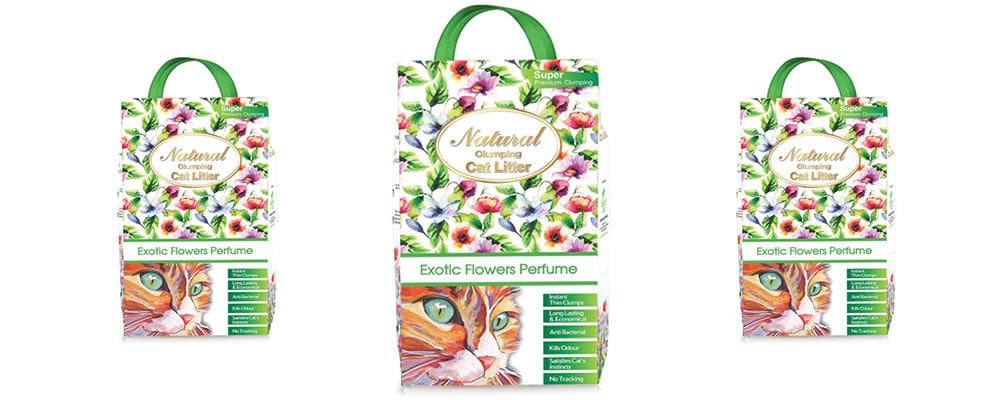 Kedi Kumu Alırken Nelere Dikkat Etmeliyiz?