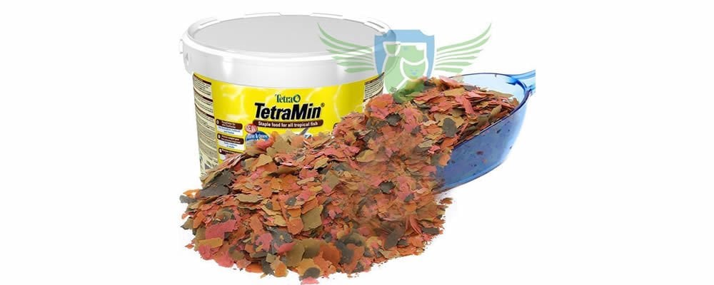 Balık Yemlerinde Nelere Dikkat Edilmelidir?