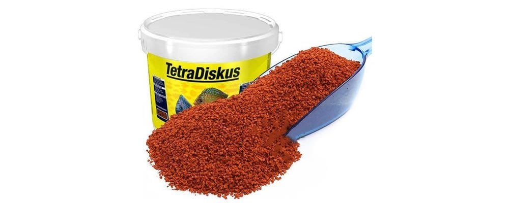 Akvaryum Balıkları İçin Hangi Yemleri Kullanmalıyım?