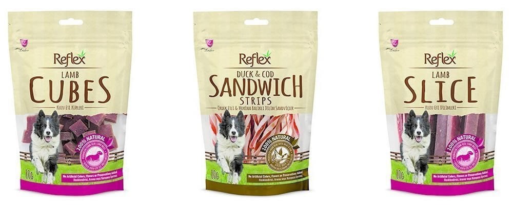 Köpek Ödülü Nasıl Verilmeli?