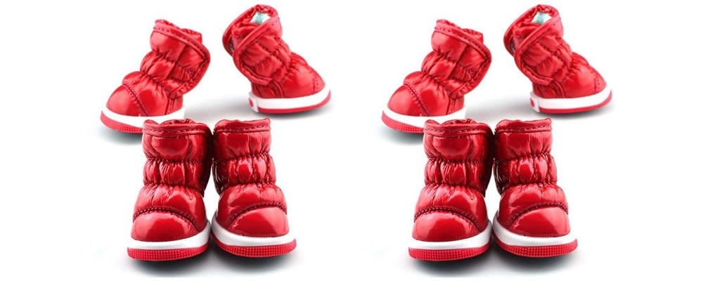 Köpek Ayakkabısı İle Can Dostunuzun Patileri Üşümesin!