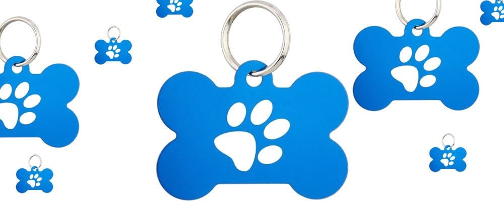 Köpek İsimliği İle Adını Herkes Bilsin