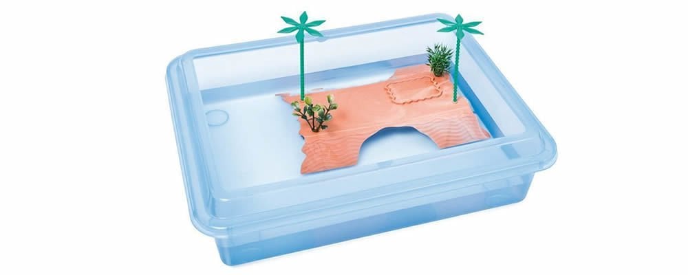 Kaplumbağa Kafesi Yaz Aylarında Nasıl Bakılmalıdır?