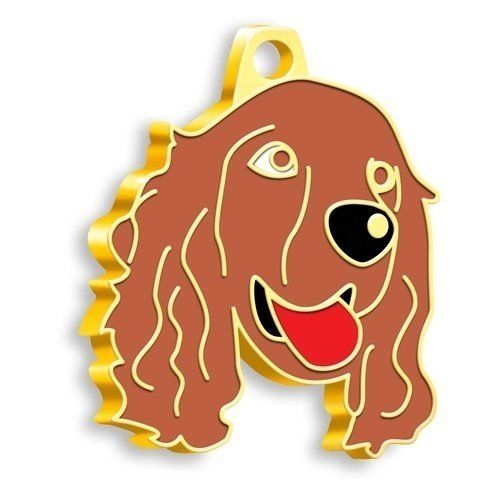 Altın Kaplama Köpek Künyesi Tercih Edenlerin Genellikle Beslediği Türler
