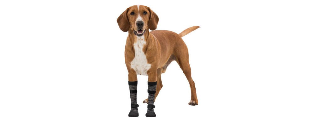 Yağmurlu Havalar İçin Su Geçirmez Köpek Çorabı Tamda Aradığınız Şey!