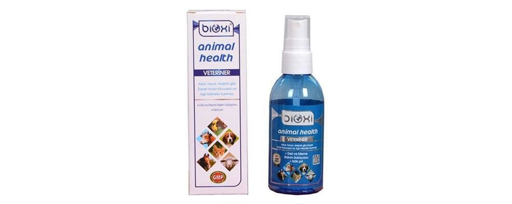 Soğuk Havalarda Kedi Deri Bakımına Dikkat!