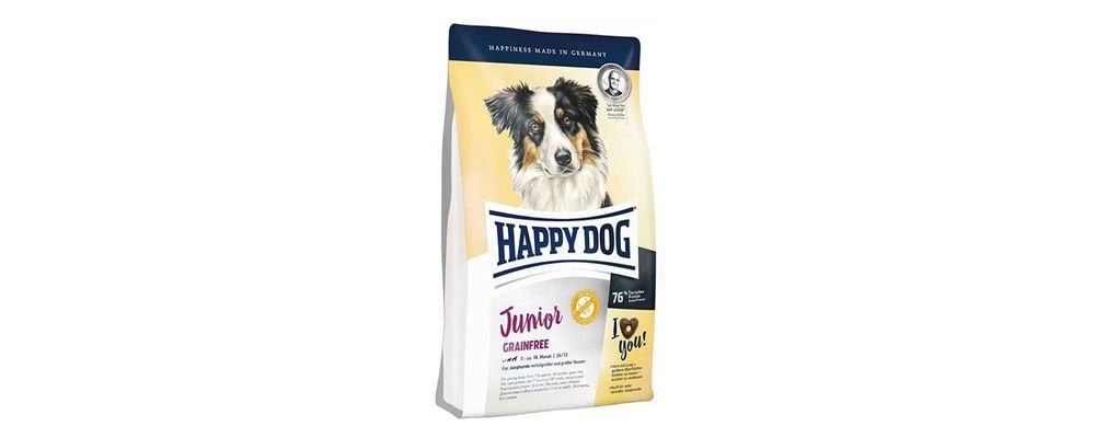 Köpek Maması Bozulur Mu