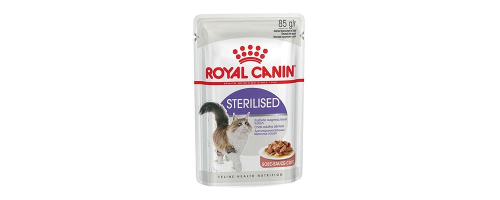 Kısırlaştırılmış Kedi Maması Seçimi Nasıl Yapılmalı