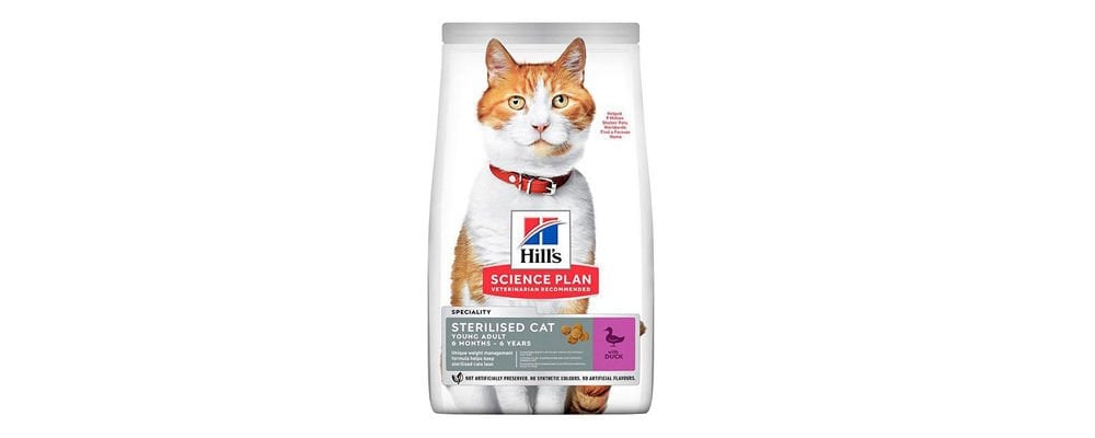 Kısırlaştırılmış Kediler İçin Özel Geliştirilen Kedi Maması Çeşitleri