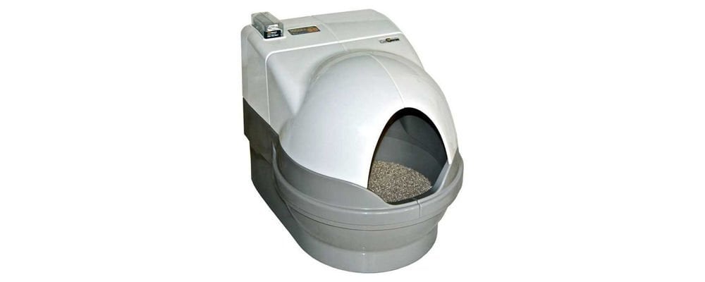 Kedi Tuvaleti Satın Almadan Önce Bilmeniz Gerekenler