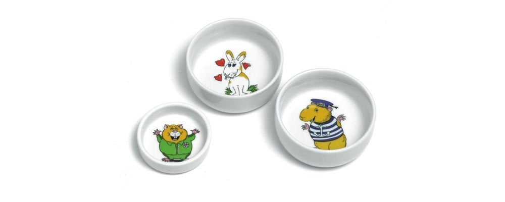 Şık Tasarımlı Ve Canlı Renklere Sahip Kemirgen Mama Kabı Çeşitleri