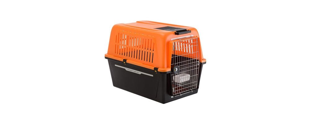 Köpek Taşıma Kafesi Hangi Durumlarda Kullanılır