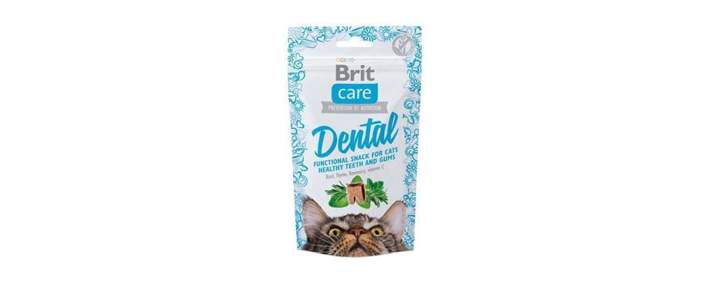 Kedi Eğitimde Kedi Ödül Maması Kullanımı Doğru Mu