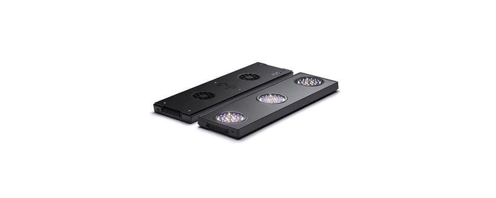 Akvaryum Aydınlatması Nasıl Yapılmalı