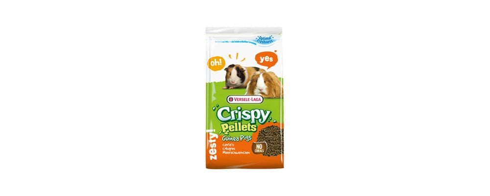 Uygun Fiyatlı Guinea Pig Yemi Çeşitleri
