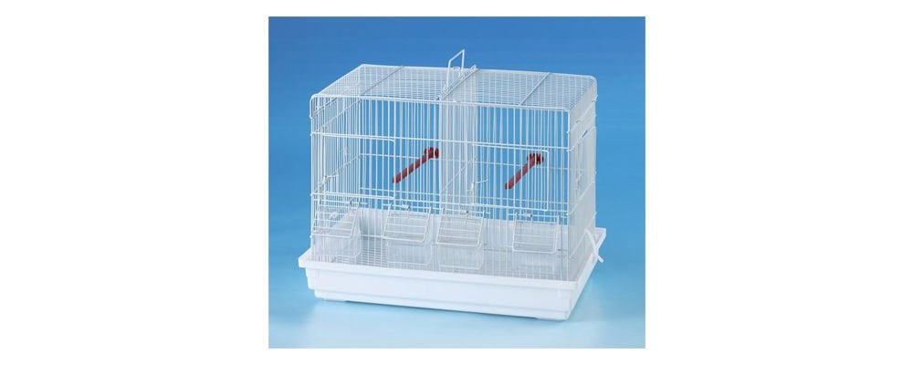 Büyük Kuş Kafesi Nasıl Temizlenir