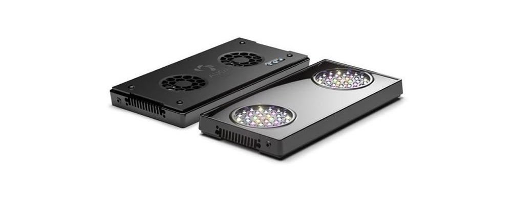 Akvaryum Aydınlatması Konusunda Dikkat Edilmesi Gerekenler