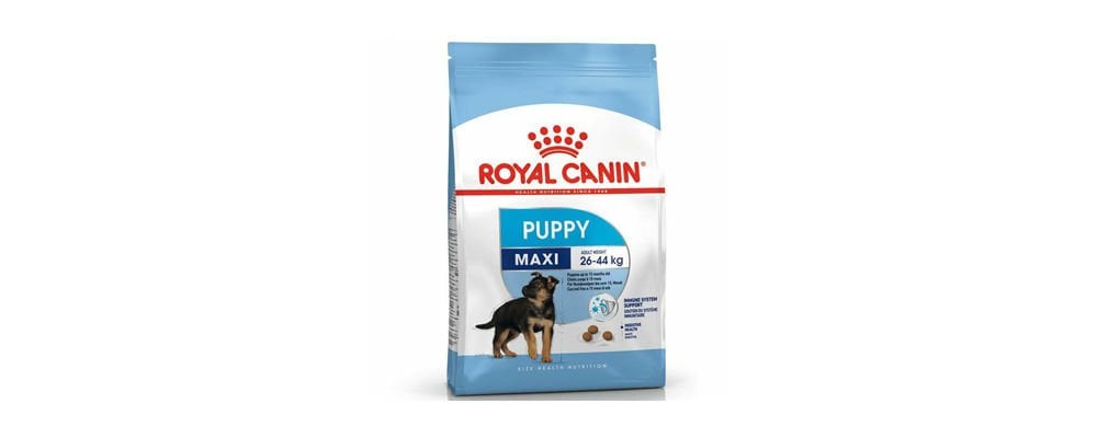 Köpek Maması Seçerken Nelere Dikkat Edilmeli