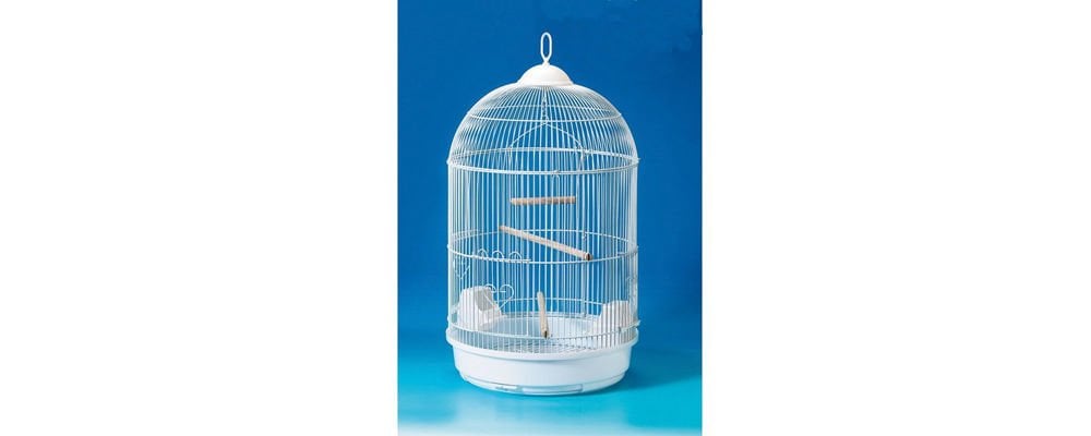 Kuş Kafesi Fiyatları Ne Kadar