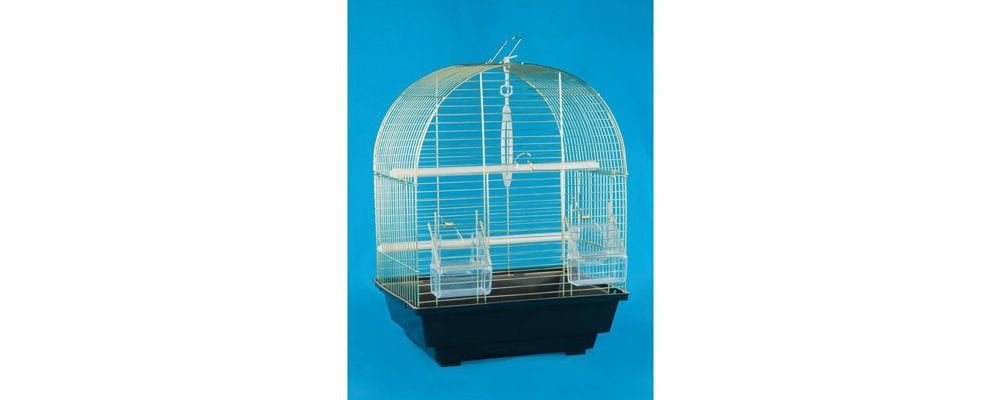 Evinizde Beslediğiniz Kuş İçin Hangi Kuş Kafesi Daha Uygun