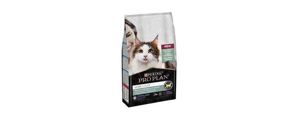 Kısırlaştırılmış Kediye Normal Kedi Maması Verilirse Ne Olur