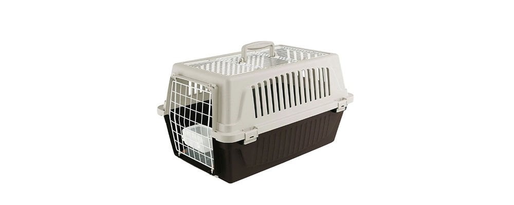 Köpek Taşıma Çantası Alırken nelere Dikkat Edilmeli