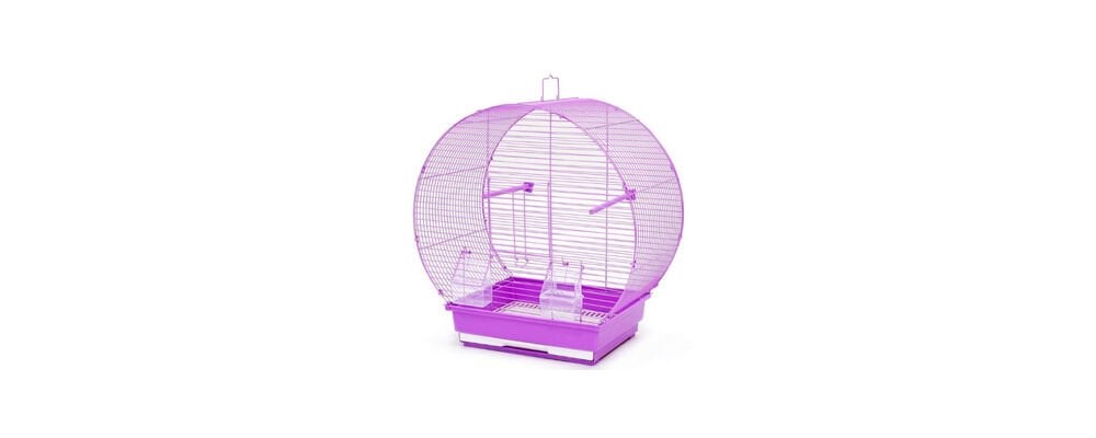 Kuş Kafesi Duvara Nasıl Asılır