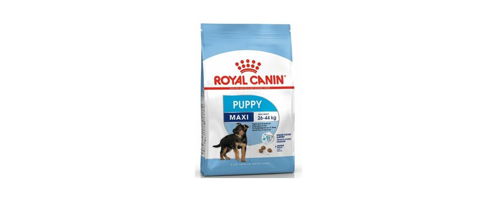 İyi Bir Köpek Maması İçeriği Nasıl Olmalı