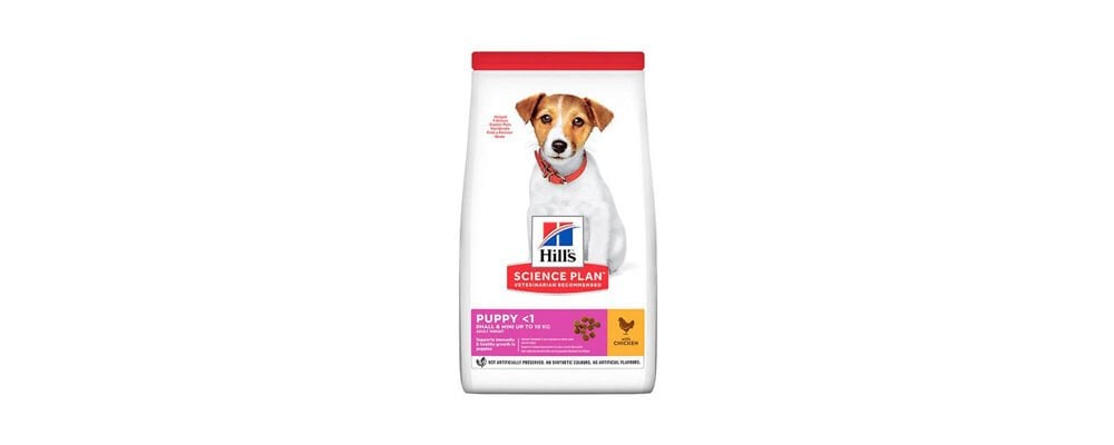 Köpek Maması Satın Alırken Bilinmesi Gerekenler Neler