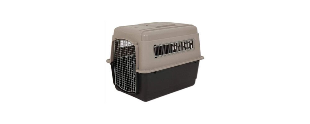 Köpek Kafesi Boyut Olarak Ne Kadar Olmalı