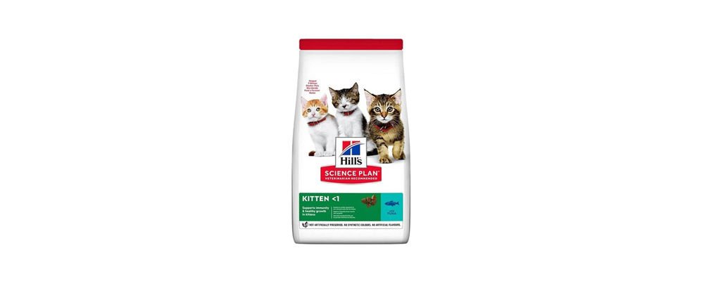 Hangi Kedi Maması Alınmalı