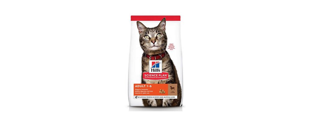 Kedinin En Çok Sevdiği Doyurucu Kedi Mamaları