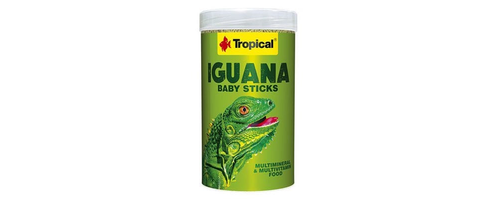 İguana Yemi Nasıl Seçilmeli ?