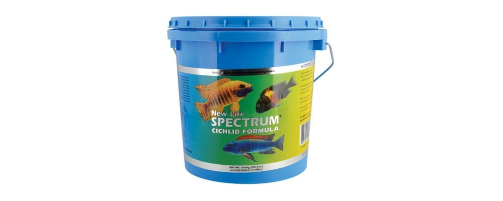 En İyi Akvaryum Balık Yemi Hangisi?