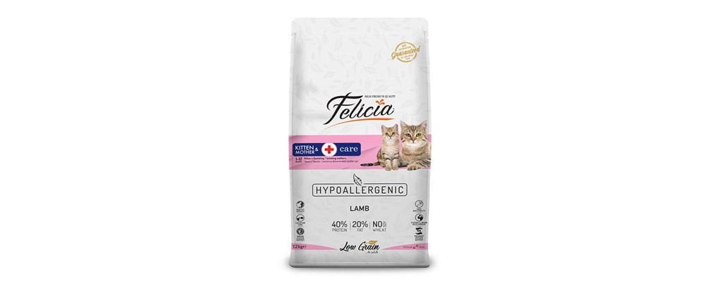 Farklı Aroma ve Besin Değerine Sahip Kedi Maması Çeşitleri