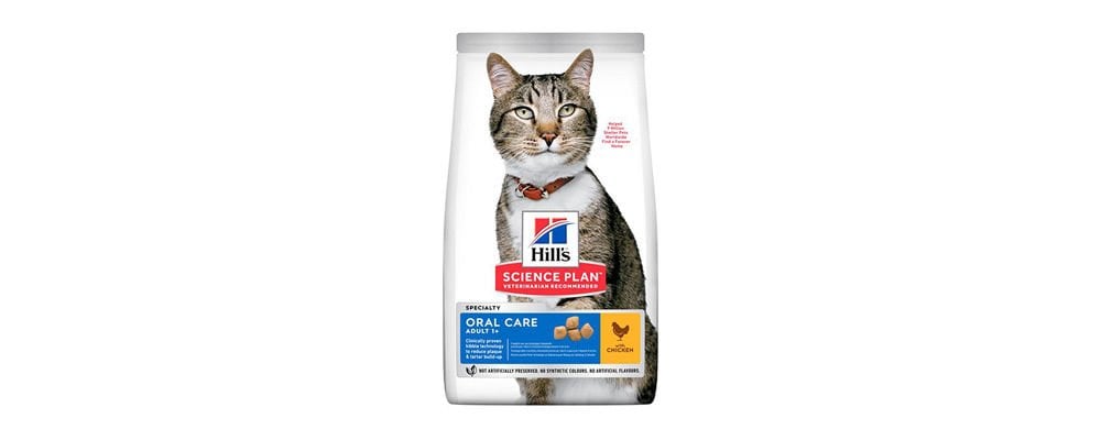 Kedi Maması Saklanırken Nelere Dikkat Edilmeli?
