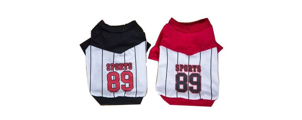 Köpek Kıyafeti Nasıl Giydirilir?