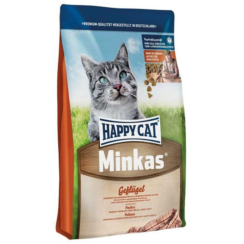 Kedi maması alırken hangi özelliklere bakılmalıdır?