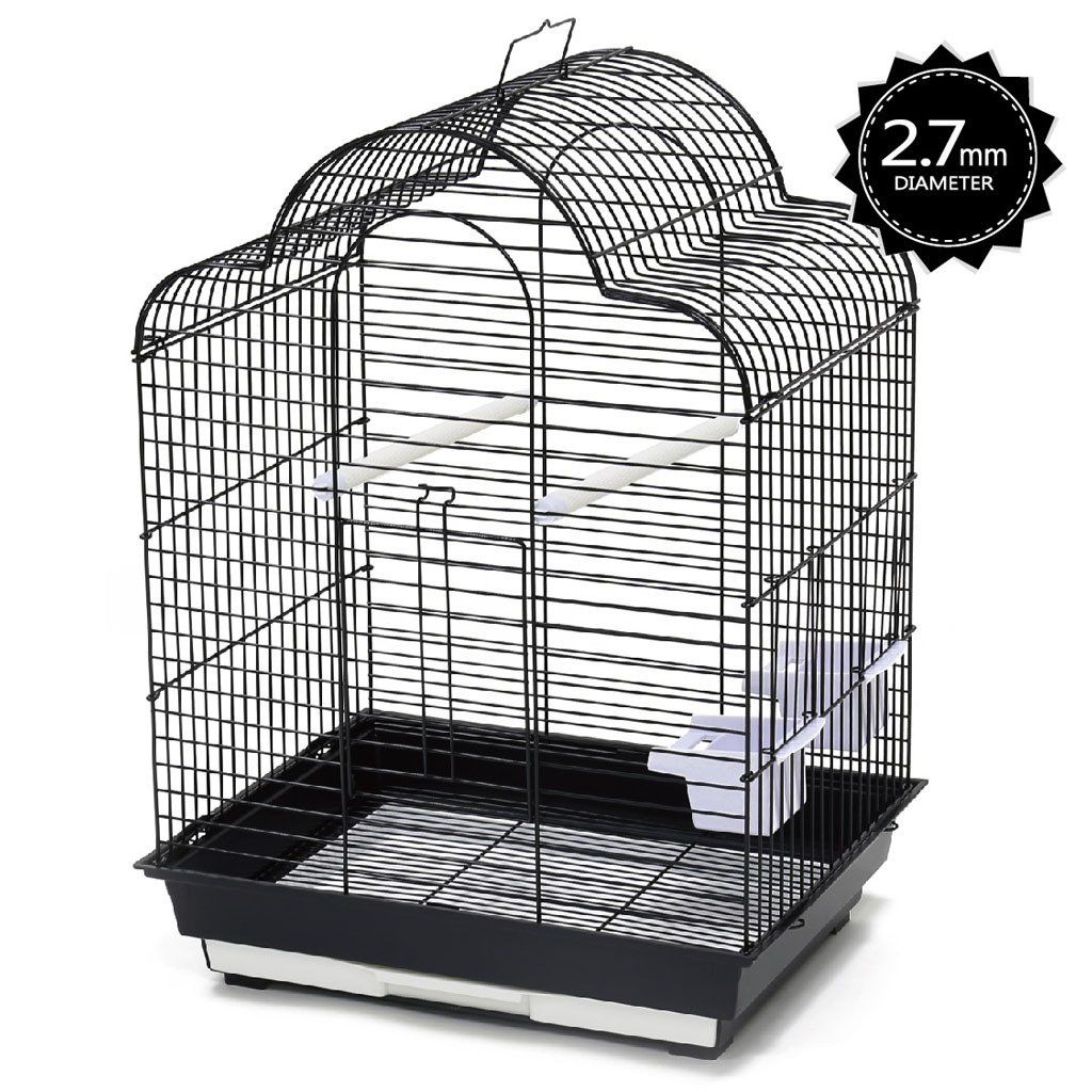 Papağanlar İçin Kafes Seçimindeki Ayrıntılar